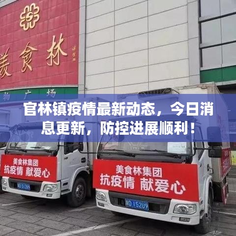 官林鎮(zhèn)疫情最新動態(tài)，今日消息更新，防控進展順利！