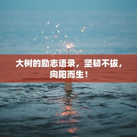 鳥飛兔走 第2頁