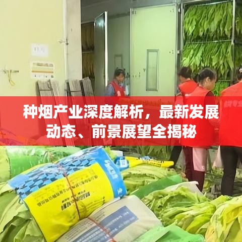 百鳥歸巢 第2頁