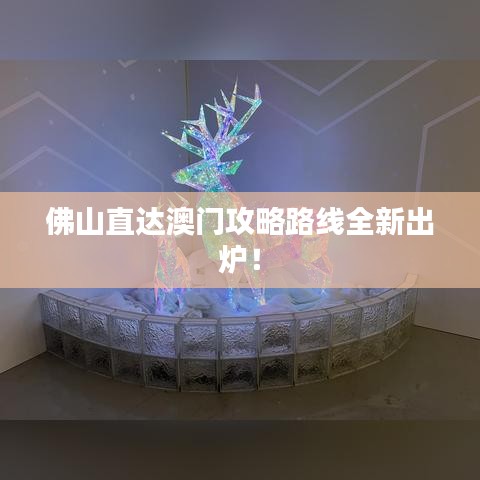 佛山直達(dá)澳門攻略路線全新出爐！