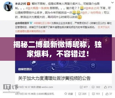 揭秘二博最新微博昵稱，獨家爆料，不容錯過！