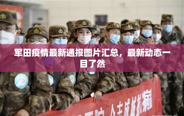 軍田疫情最新通報(bào)圖片匯總，最新動(dòng)態(tài)一目了然