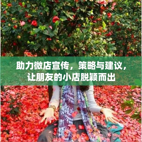 助力微店宣傳，策略與建議，讓朋友的小店脫穎而出