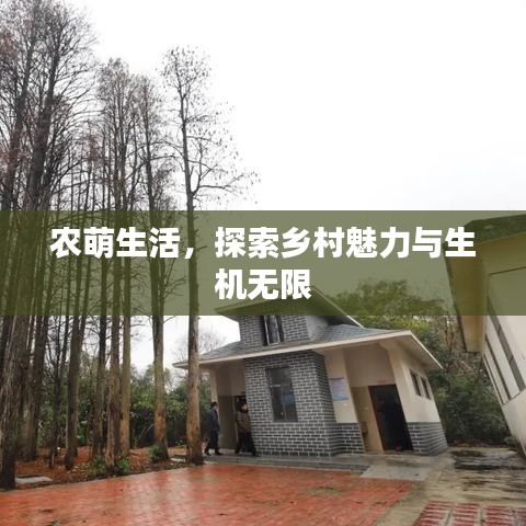 農(nóng)萌生活，探索鄉(xiāng)村魅力與生機無限