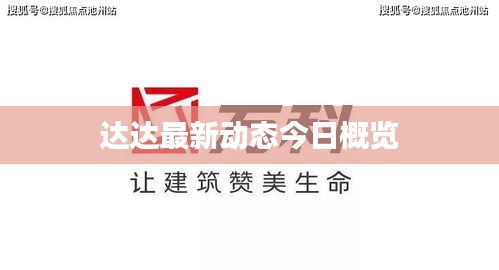 達(dá)達(dá)最新動(dòng)態(tài)今日概覽