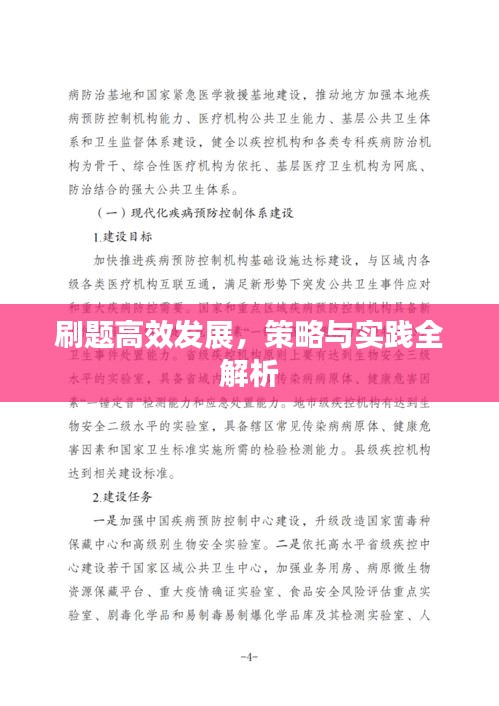 刷題高效發(fā)展，策略與實踐全解析