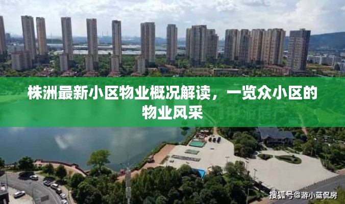 株洲最新小區物業概況解讀，一覽眾小區的物業風采