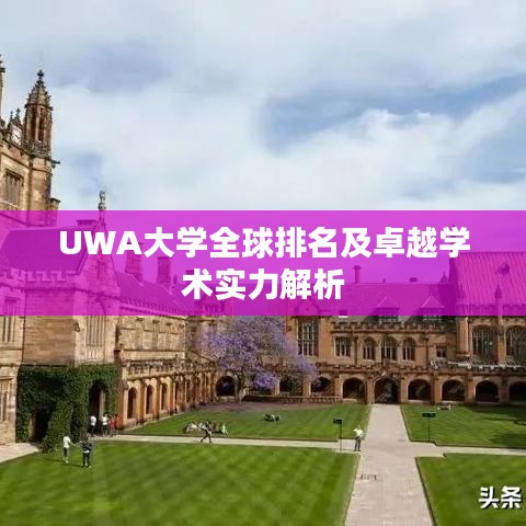 UWA大學(xué)全球排名及卓越學(xué)術(shù)實(shí)力解析