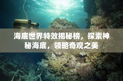 海底世界特效揭秘榜，探索神秘海底，領略奇觀之美