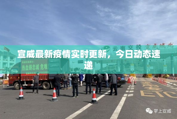 宣威最新疫情實(shí)時(shí)更新，今日動(dòng)態(tài)速遞