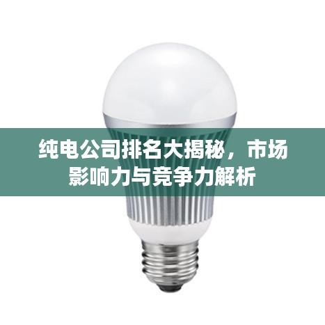 純電公司排名大揭秘，市場(chǎng)影響力與競(jìng)爭(zhēng)力解析