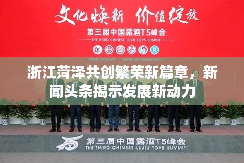 浙江菏澤共創繁榮新篇章，新聞頭條揭示發展新動力
