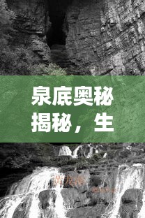 泉底奧秘揭秘，生命之泉涌動不息