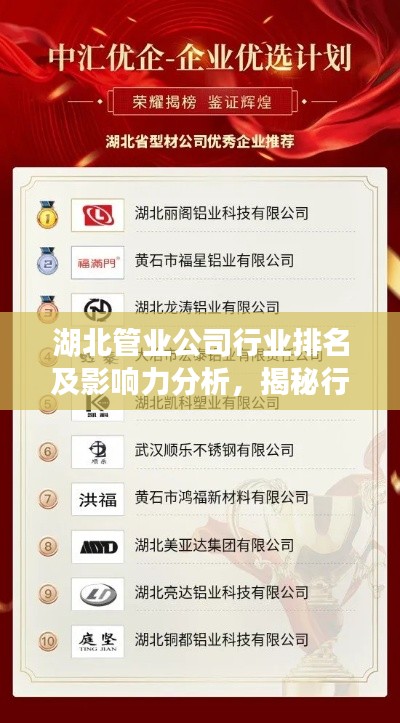 湖北管業公司行業排名及影響力分析，揭秘行業巨頭與影響力之巔
