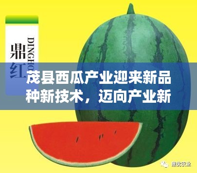 茂縣西瓜產(chǎn)業(yè)迎來(lái)新品種新技術(shù)，邁向產(chǎn)業(yè)新高度！