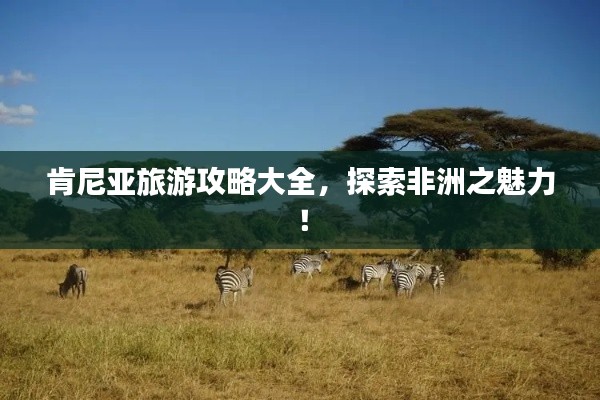 肯尼亞旅游攻略大全，探索非洲之魅力！