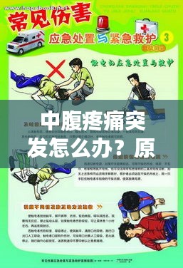 中腹疼痛突發怎么辦？原因解析、應急處理與預防措施一網打盡！