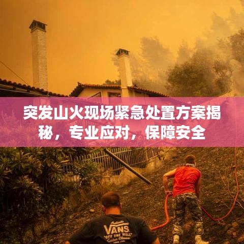 突發山火現場緊急處置方案揭秘，專業應對，保障安全