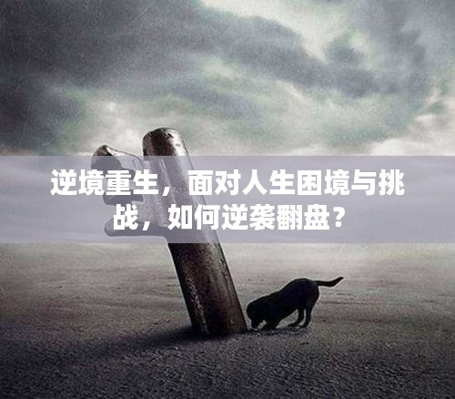 逆境重生，面對人生困境與挑戰，如何逆襲翻盤？
