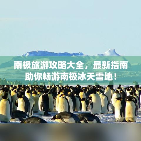 南極旅游攻略大全，最新指南助你暢游南極冰天雪地！
