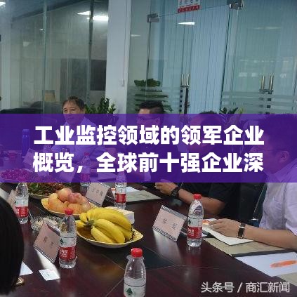 工業監控領域的領軍企業概覽，全球前十強企業深度解讀