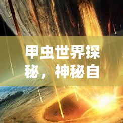 甲蟲世界探秘，神秘自然寶藏的旅游攻略