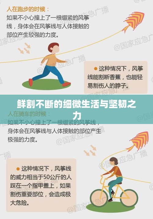 鮮割不斷的細(xì)微生活與堅(jiān)韌之力
