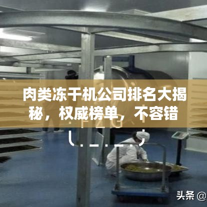 肉類凍干機(jī)公司排名大揭秘，權(quán)威榜單，不容錯(cuò)過！