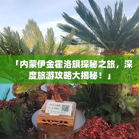 「內蒙伊金霍洛旗探秘之旅，深度旅游攻略大揭秘！」