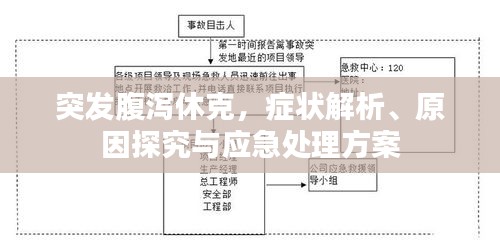 突發腹瀉休克，癥狀解析、原因探究與應急處理方案