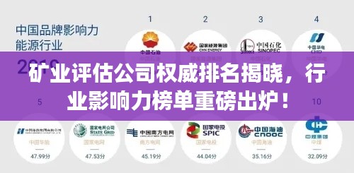 礦業(yè)評(píng)估公司權(quán)威排名揭曉，行業(yè)影響力榜單重磅出爐！