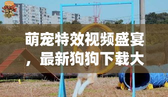 萌寵特效視頻盛宴，最新狗狗下載大全，一網打盡娛樂時光