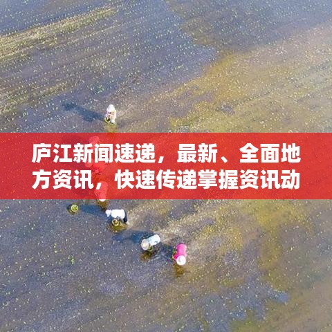 廬江新聞速遞，最新、全面地方資訊，快速傳遞掌握資訊動態