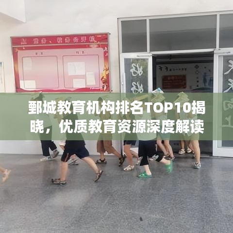 鄄城教育機(jī)構(gòu)排名TOP10揭曉，優(yōu)質(zhì)教育資源深度解讀