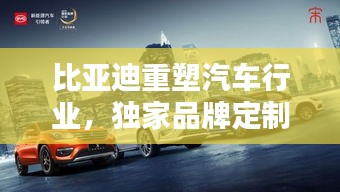 比亞迪重塑汽車行業，獨家品牌定制，開啟定制新紀元