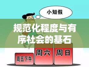 規(guī)范化程度與有序社會的基石，構(gòu)建社會秩序的基石