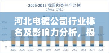 河北電鍍公司行業(yè)排名及影響力分析，揭秘行業(yè)巨頭！