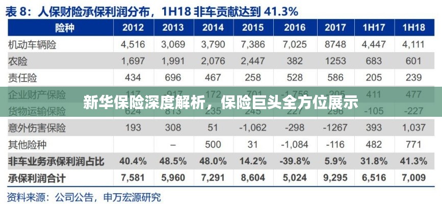 新華保險(xiǎn)深度解析，保險(xiǎn)巨頭全方位展示