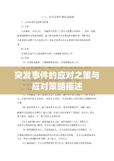 突發(fā)事件的應(yīng)對之策與應(yīng)對策略描述