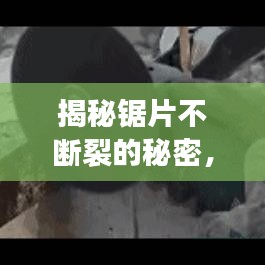 揭秘鋸片不斷裂的秘密，技術(shù)革新與材料科學(xué)的完美結(jié)合之道