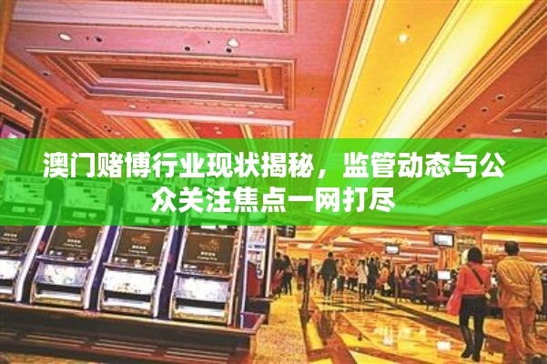 澳門賭博行業(yè)現(xiàn)狀揭秘，監(jiān)管動態(tài)與公眾關(guān)注焦點一網(wǎng)打盡