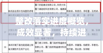 整改落實進度概覽，成效顯著，持續(xù)進步報告