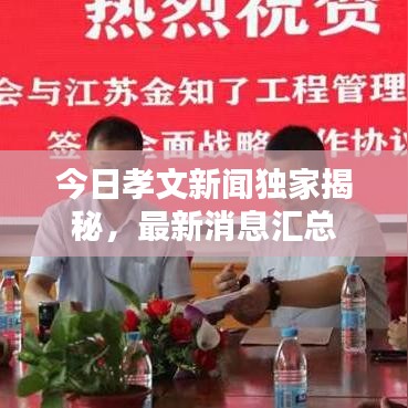今日孝文新聞獨(dú)家揭秘，最新消息匯總
