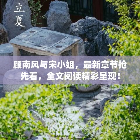 顧南風與宋小姐，最新章節搶先看，全文閱讀精彩呈現！