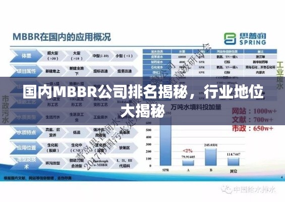 國內MBBR公司排名揭秘，行業地位大揭秘