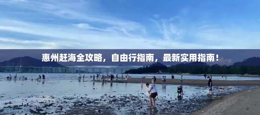 惠州趕海全攻略，自由行指南，最新實(shí)用指南！