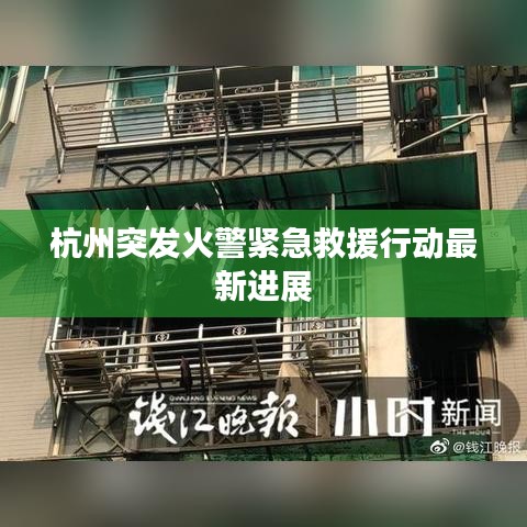 杭州突發火警緊急救援行動最新進展