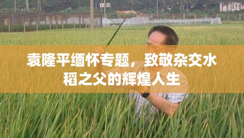 袁隆平緬懷專題，致敬雜交水稻之父的輝煌人生