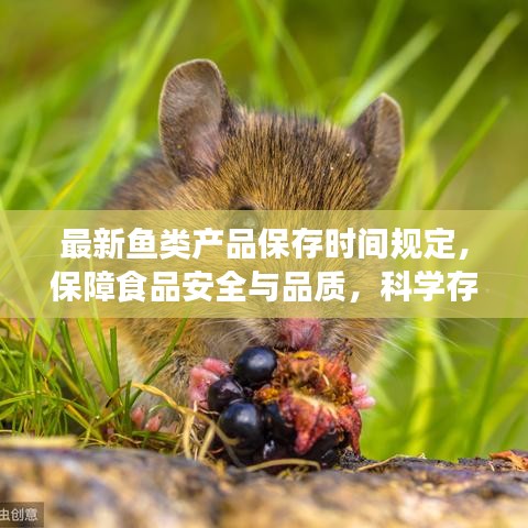 最新魚類產(chǎn)品保存時(shí)間規(guī)定，保障食品安全與品質(zhì)，科學(xué)存儲，健康享用