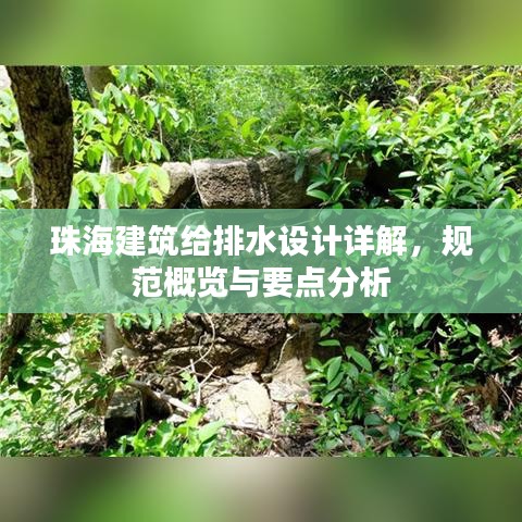 珠海建筑給排水設(shè)計(jì)詳解，規(guī)范概覽與要點(diǎn)分析